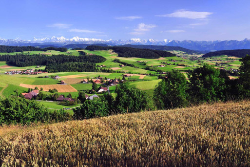 Bodennutzung Schweiz, ländlicher Raum